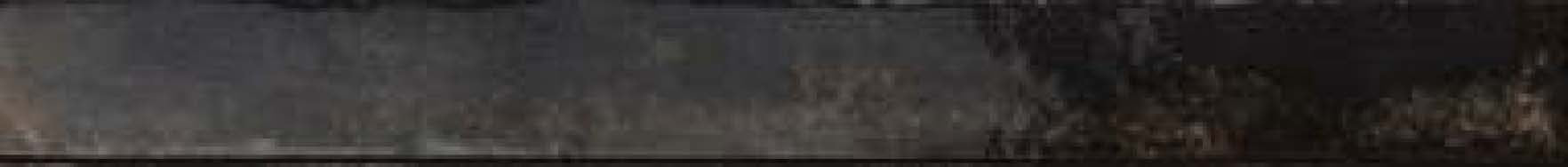 DB - Life Black Tile
