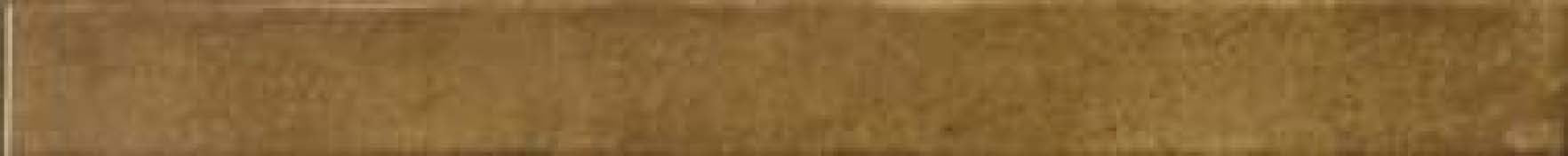 DB - Life Dijon Tile