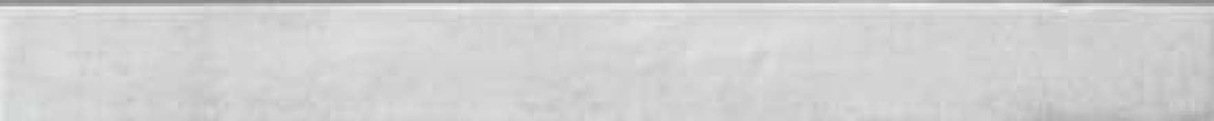 DB - Life White Tile