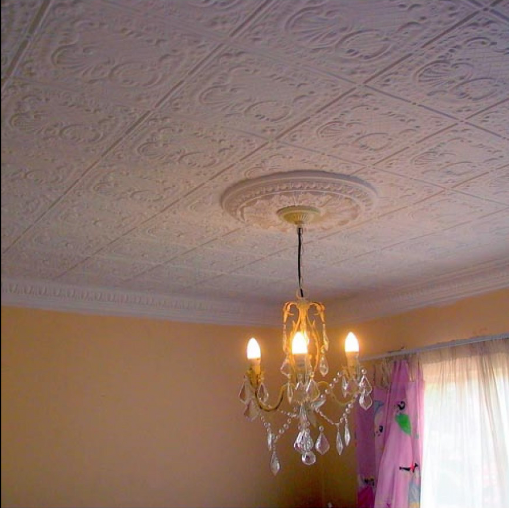Ceiling Panels — Pudlo South Africa