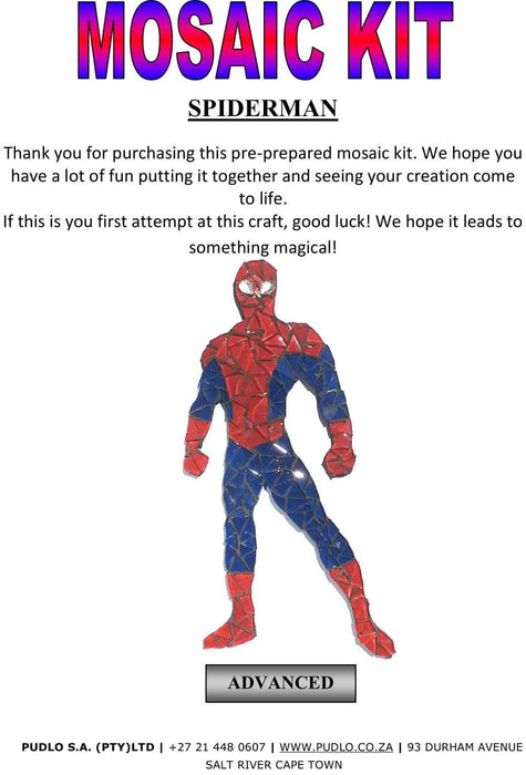 MK - Spiderman Mosaic Kit